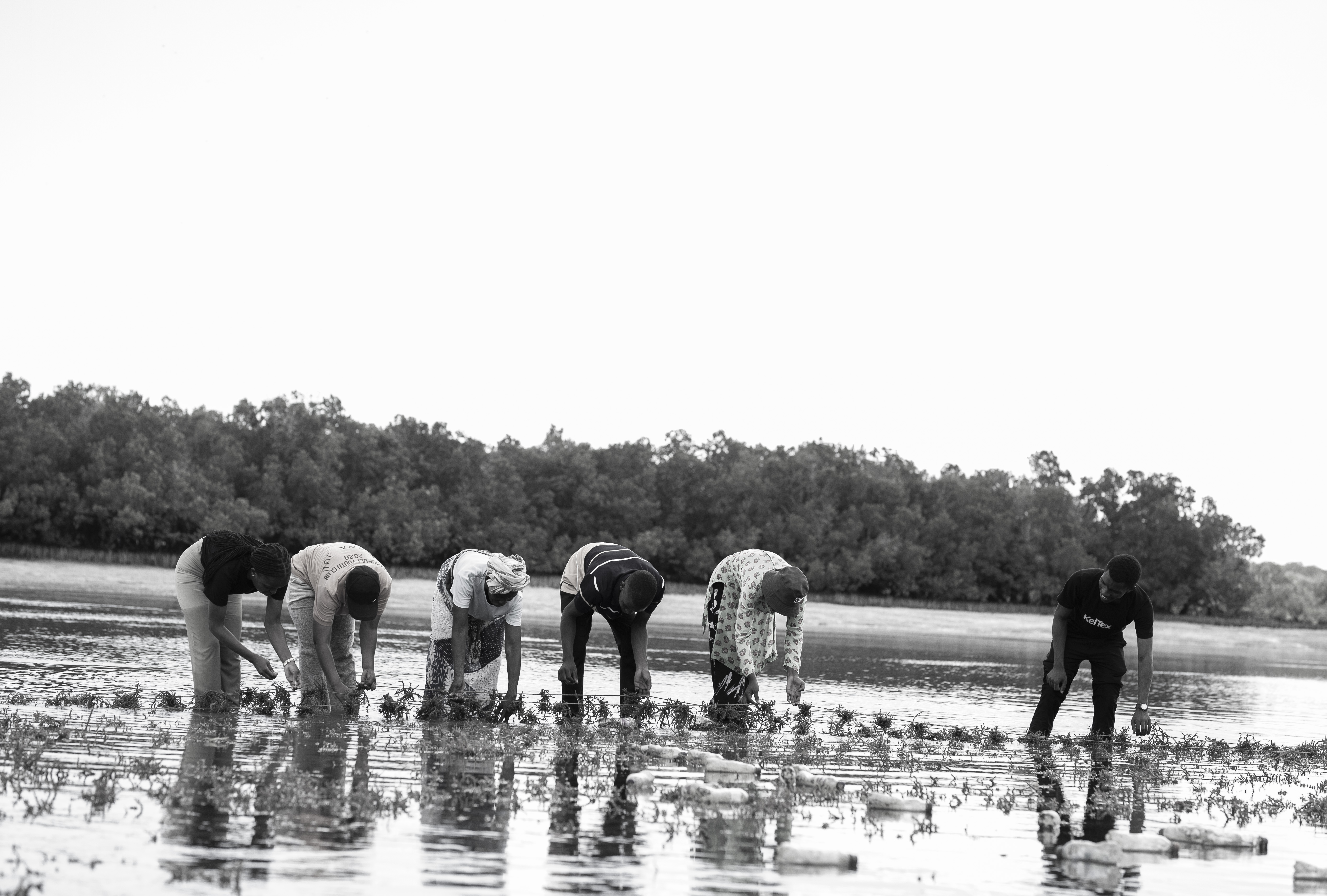 Community Impact